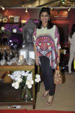 at Sahchari foundations Design One exhibition in Mumbai on 7th March 2013 (11).JPG